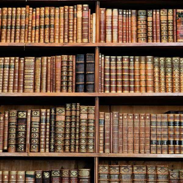 Top Books for the Cozy Season