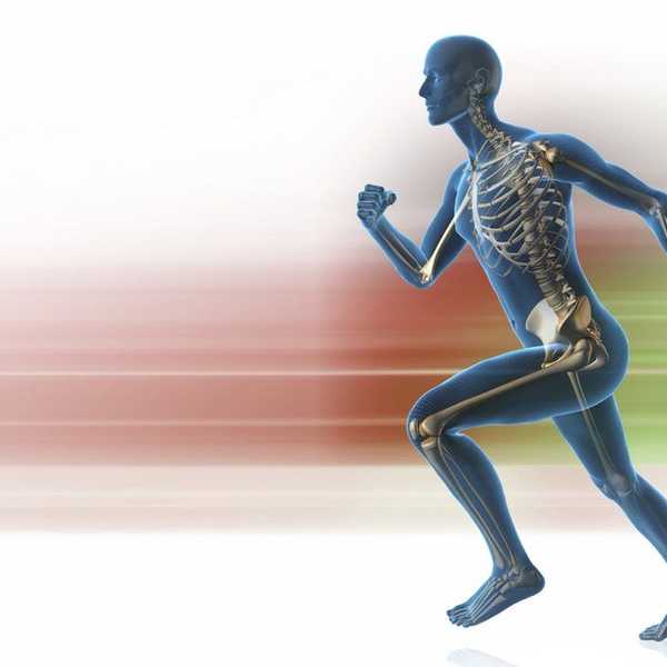 10 Things Exercise Science Majors are Tired of Hearing