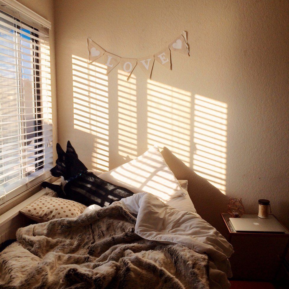 Lazy Culture Is Not Cute, But It's Still In Style