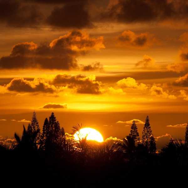 Rise and Shine