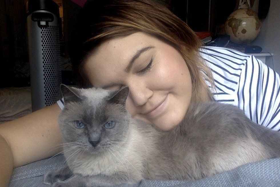 Why My Cat Is My Best Friend