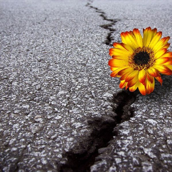 What Doesn't Kill You Makes You Stronger