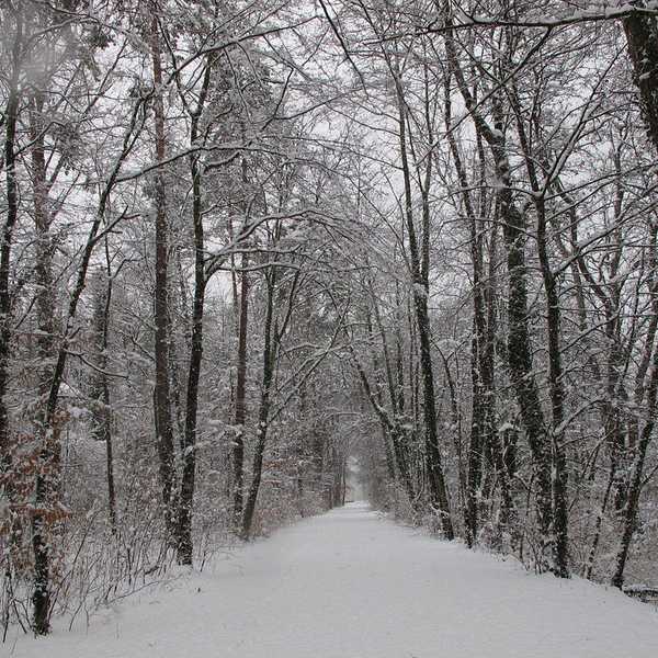Winter: Love, Hate, Or Both?