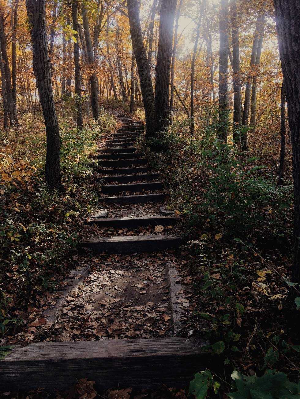 3 Reasons Ledges State Park Changed My Views on Iowa