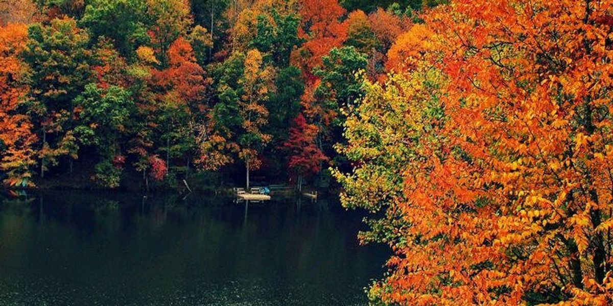 I Dig Fall 12 Reasons I Love Fall | The Odyssey Online