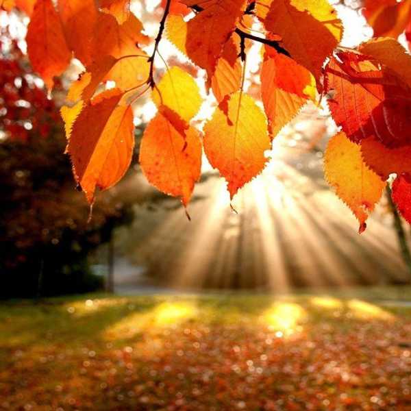 The Beauty Of The Season Of Autumn