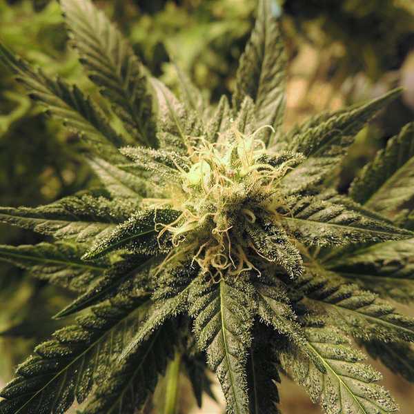 What You Should Know About Question Four