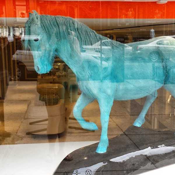 I'm a Big Kid Now, I Think...