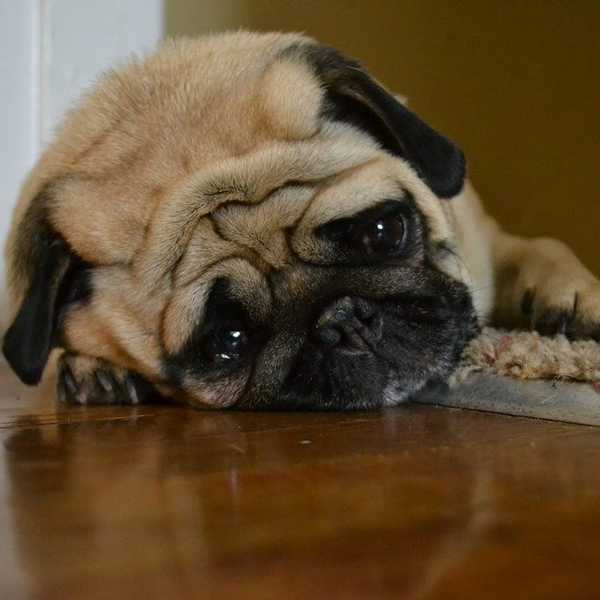 6 Reasons I'm Grateful For My Bad Days