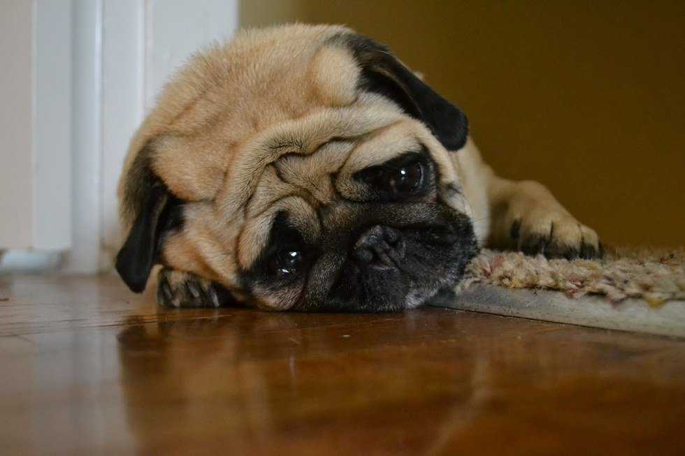 6 Reasons I'm Grateful For My Bad Days