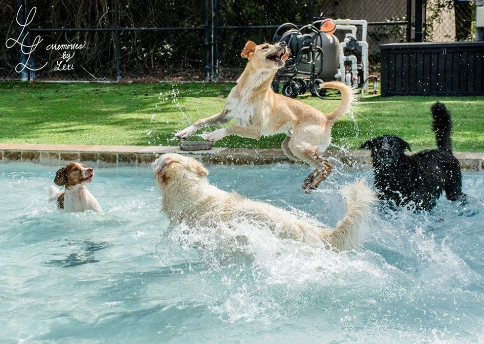 9 Reasons Why I Love My Job