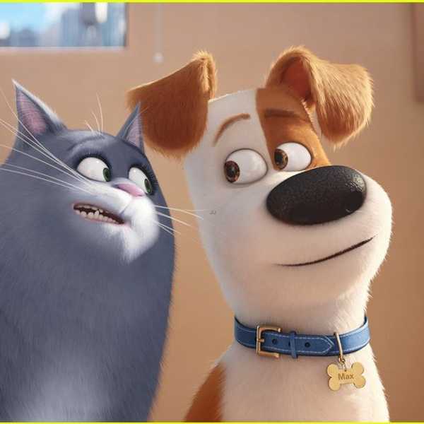 The Pros And Cons To Having Pets On Campus