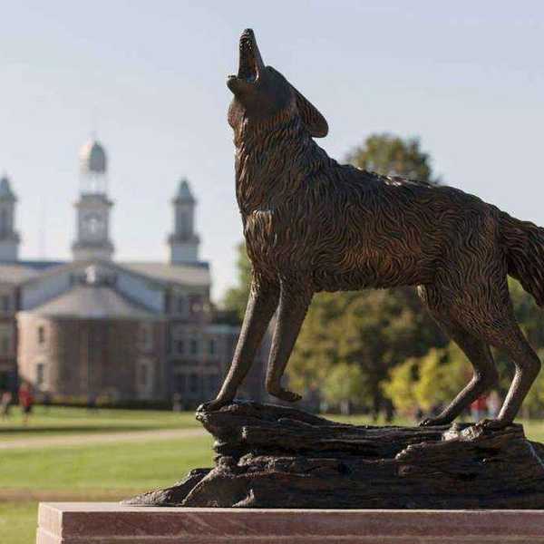 Only USD Coyotes Would Understand...