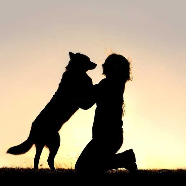 5 Things You Should Consider Before Getting A Dog While Still In College