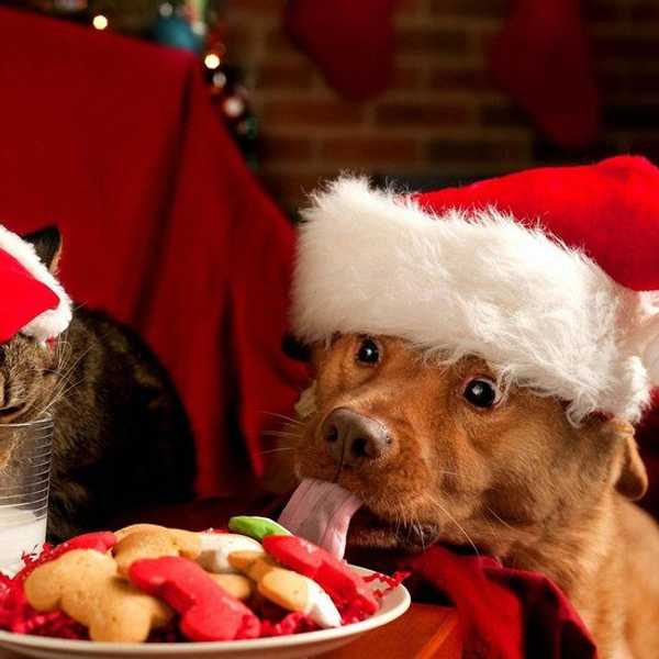 The Countdown To Christmas Has Begun