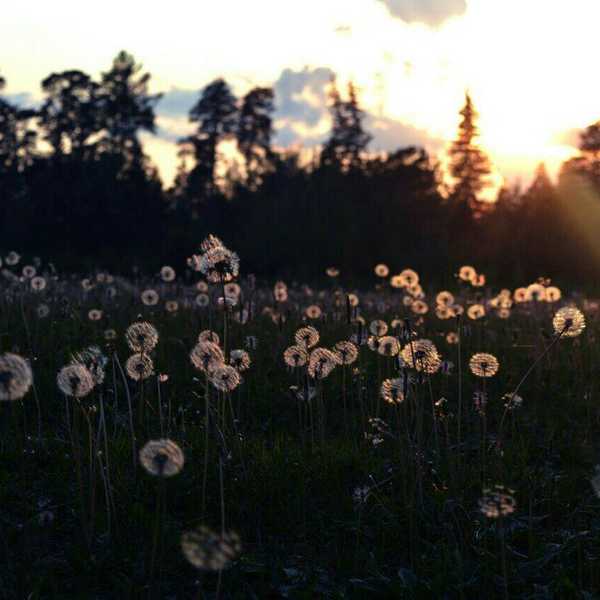 Why It Is So Important To Forgive
