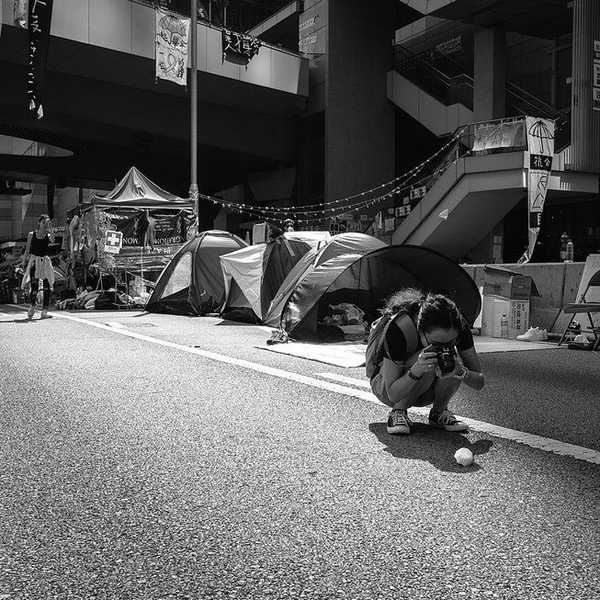 The Love of Photography