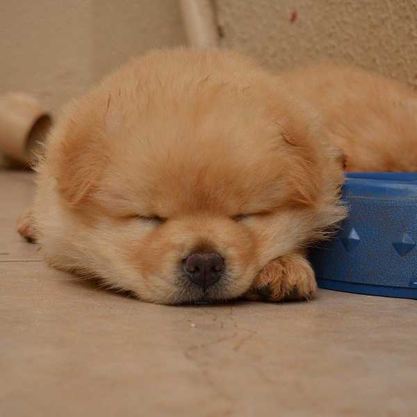 12 Reasons You Deserve a Nap