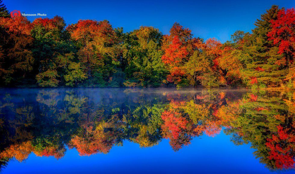 Things I Miss About New England