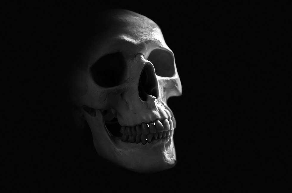 Anthropocene