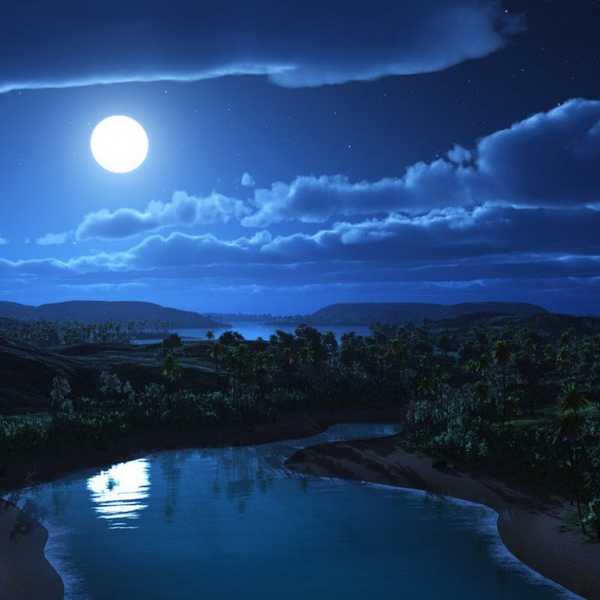 Night: A Poem