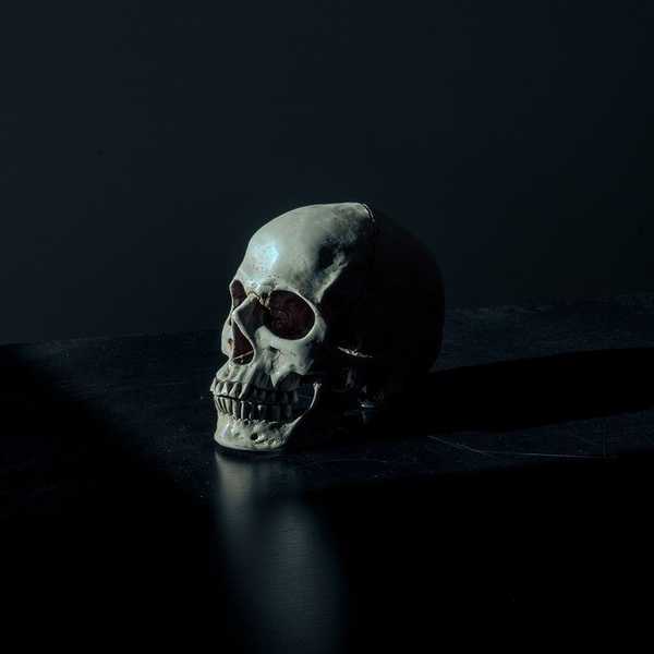 How Horror Stories Can Be Good For You