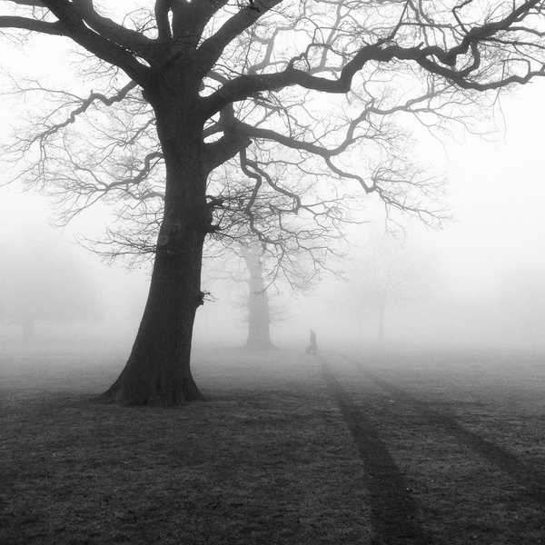 Did I Meet a Ghost in Sewanee?