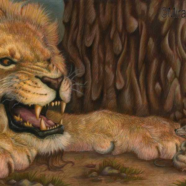 Lion and the Mouse