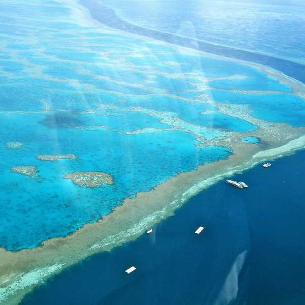 The Death Of The Great Barrier Reef