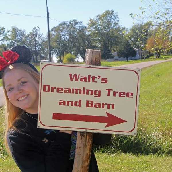 Walt's Dreaming Tree: Where The Magical World Of Disney Began