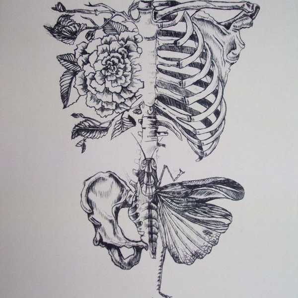 Comprehensive Sex Education Vs. Abstinence - Only Education