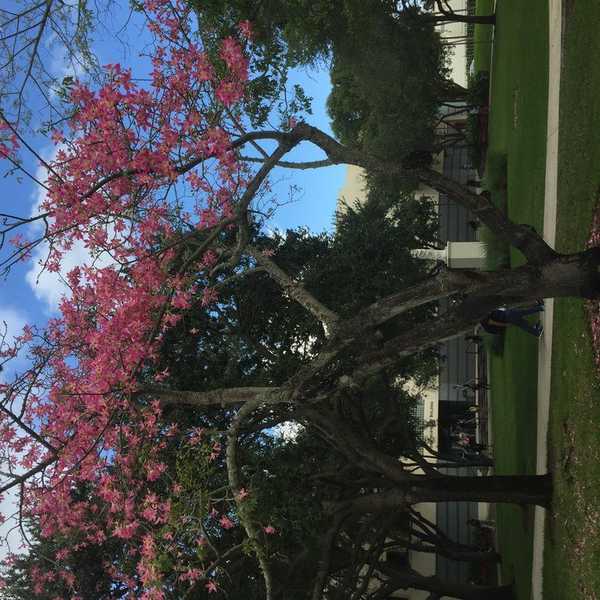 Why It Is Important To Practice Self-Love