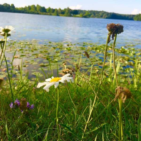 An Open Letter To My Birth Mother