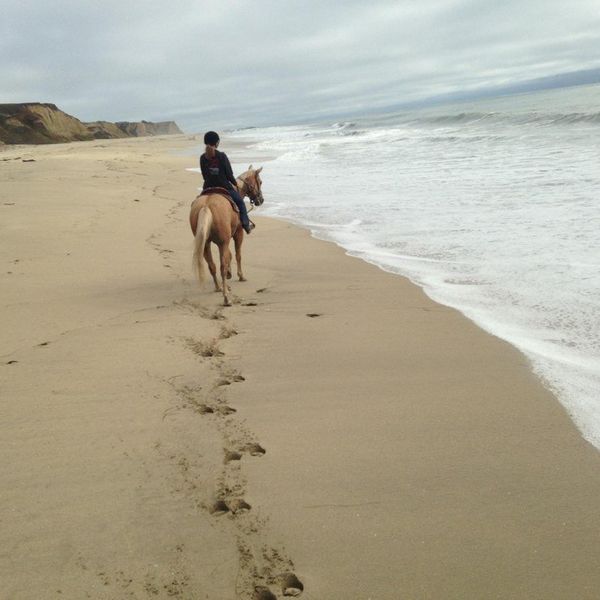 Why You Should Travel, Wherever And Whenever You Can!