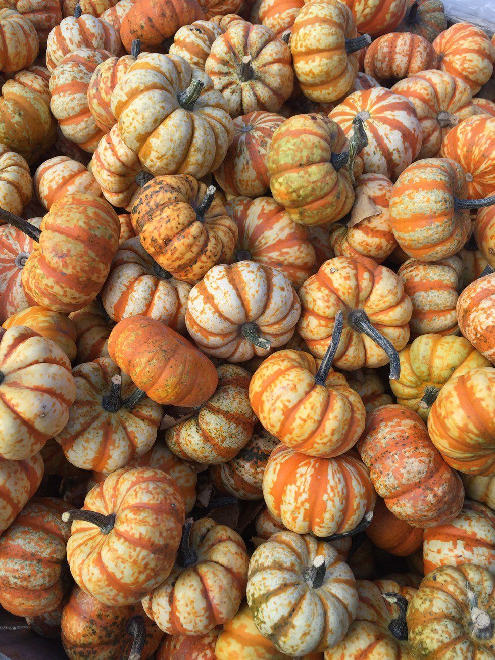 11 Reasons Why I Fell For Fall