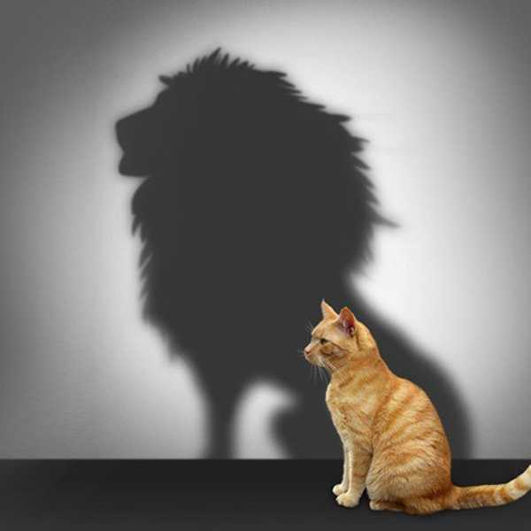 Why You Need to Value Yourself