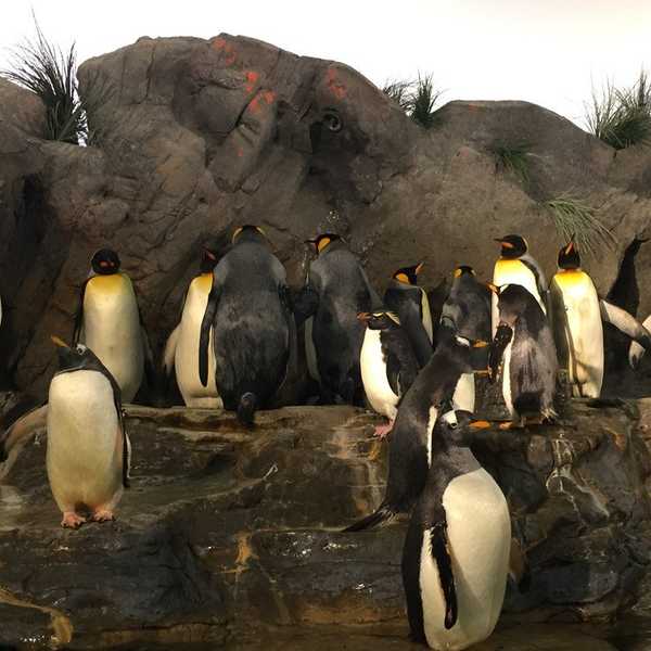 The Zoo: Then Vs. Now