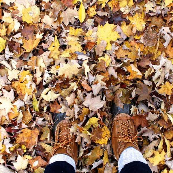 The 10 Best Things About Fall