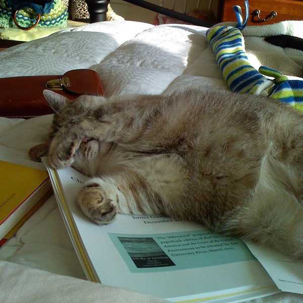 The Difference Between Senioritis In High School And College