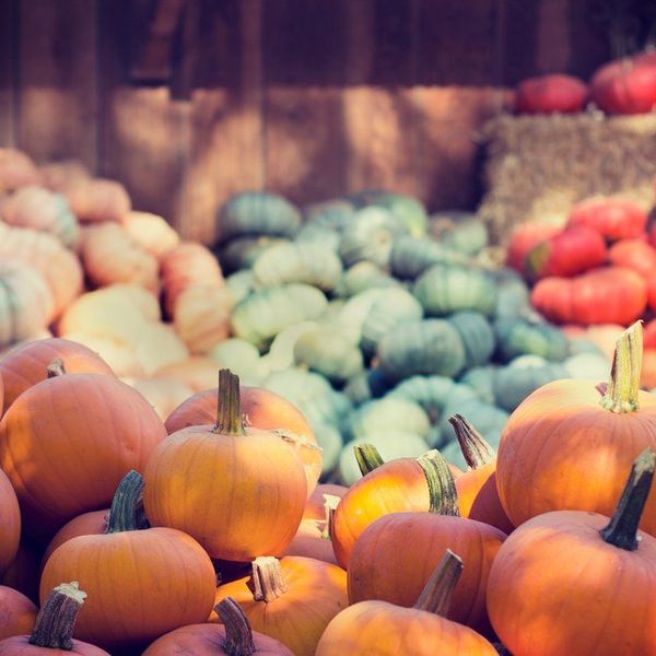 5 Things Everyone Should Do Before Halloween