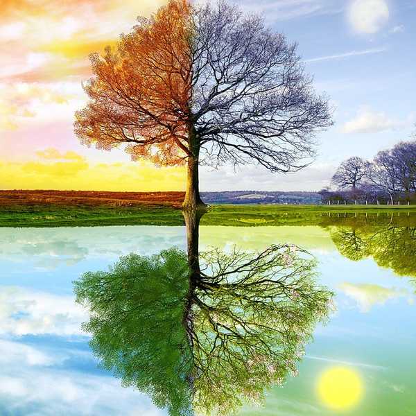 The Many Different Seasons Of Love