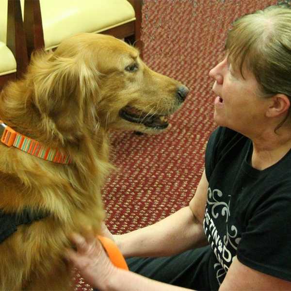 5 Reasons Therapy Dogs Are Helpful