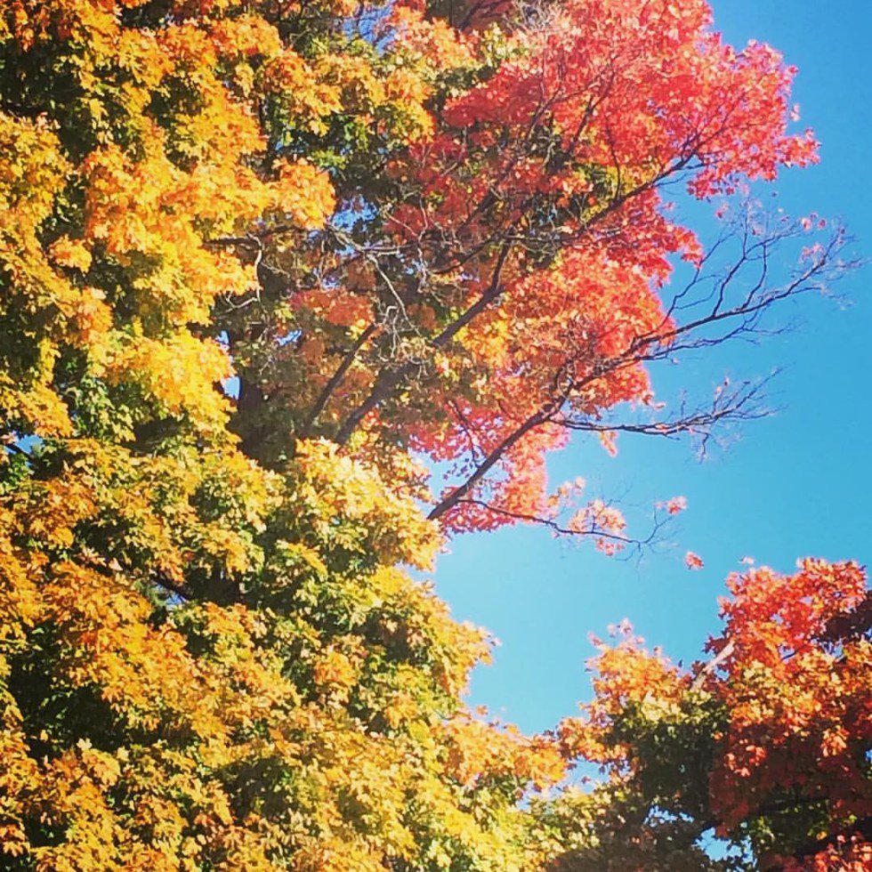 5 Things That Happen During Fall | The Odyssey Online