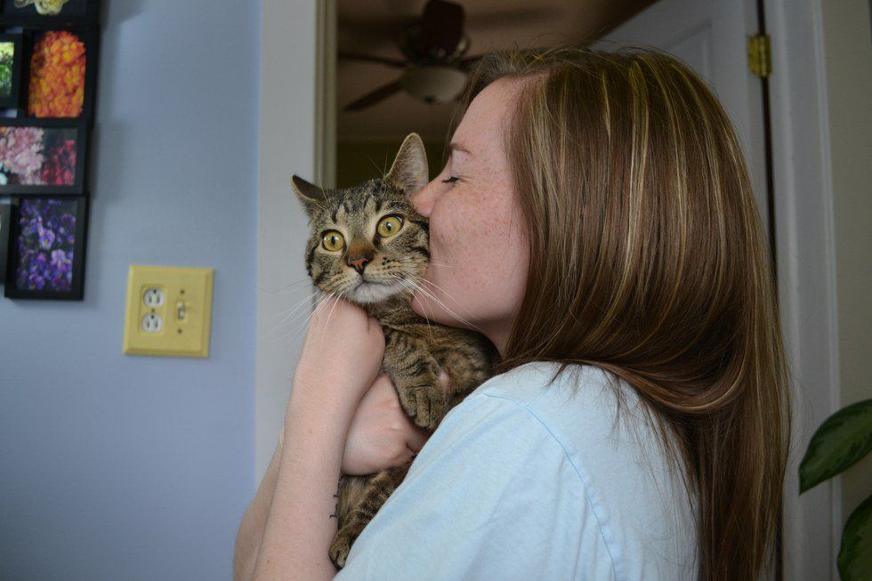 7 Things You've Definitely Said To Your Cat