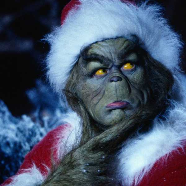 20 Reasons Why You Might Be The Grinch