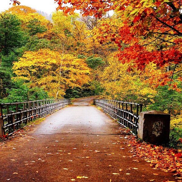 6 Reasons Why Fall is My Favorite Season