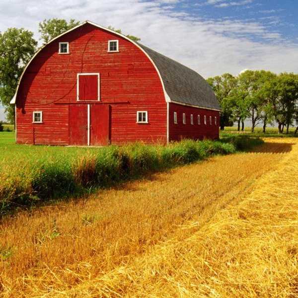 15 Signs You Grew Up In Iowa