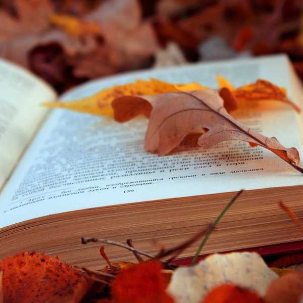 10 Creepy Reads for Halloween