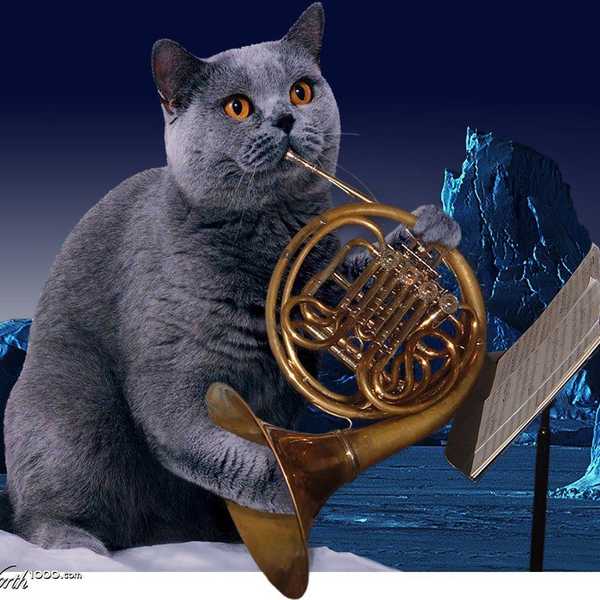 What A Weird Trumpet