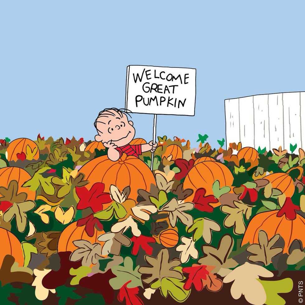 Fall Things Every College Student Should Do!